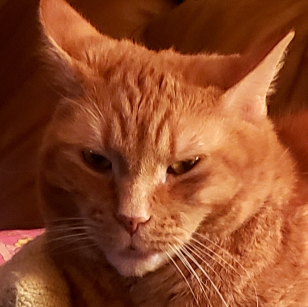 Meet your Posher, Aruzb